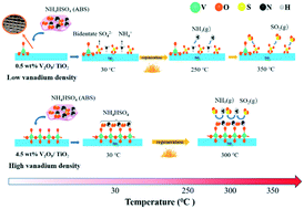 Graphical abstract: Vanadium-density-dependent thermal decomposition of NH4HSO4 on V2O5/TiO2 SCR catalysts