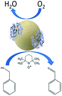 Graphical abstract: Layer by layer supported laccase on lignin nanoparticles catalyzes the selective oxidation of alcohols to aldehydes