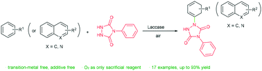 Graphical abstract: Aryl C–H amination initiated by laccase-mediated oxidation of 4-phenylurazole