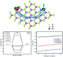 Graphical abstract: Probing the active sites of newly predicted stable Janus scandium dichalcogenides for photocatalytic water-splitting