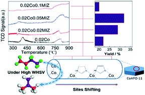 Graphical abstract: Templated coordination as a tool to increase the catalytic activity of metal aluminophosphates: the case of CoAPO-11