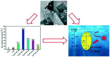 Graphical abstract: In situ photodeposition of amorphous NixP on CdS nanorods for efficient visible-light photocatalytic H2 generation