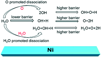 Graphical abstract: Coverage dependent structure and energy of water dissociative adsorption on clean and O-pre-covered Ni (100) and Ni(110)