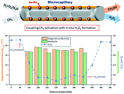 Graphical abstract: Towards coupling direct activation of methane with in situ generation of H2O2