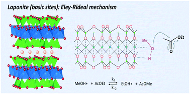 Graphical abstract: How the acido-basic properties of Mg silicates and clays govern the catalytic mechanism of transesterification reactions