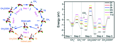 Graphical abstract: Active sites and mechanism of the direct conversion of methane and carbon dioxide to acetic acid over the zinc-modified H-ZSM-5 zeolite