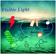 Graphical abstract: Rh/polymeric carbon nitride porous tubular catalyst: visible light enhanced chlorophenol hydrodechlorination in base-free aqueous medium