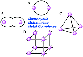 Graphical abstract: Macrocyclic multinuclear metal complexes acting as catalysts for organic synthesis