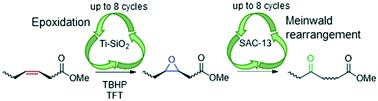 Graphical abstract: Synthesis of fatty ketoesters by tandem epoxidation–rearrangement with heterogeneous catalysis