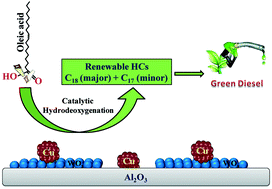 Graphical abstract: Selective, bifunctional Cu–WOx/Al2O3 catalyst for hydrodeoxygenation of fatty acids