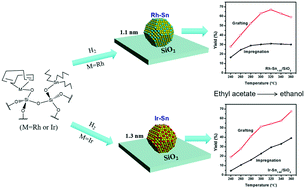 Graphical abstract: Controllable synthesis of Ir(Rh)–Sn/SiO2 bimetallic catalysts via surface organometallic chemistry for the production of ethanol from hydrogenolysis of ethyl acetate