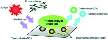 Graphical abstract: Solar light harvest: modified d-block metals in photocatalysis