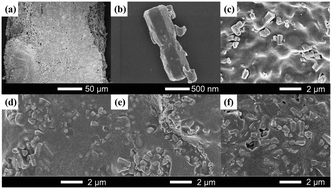 Graphical abstract: Seaweed bio-inspired ZnO piezoelectric cilia array applied in microreactors for enhanced photocatalytic performance