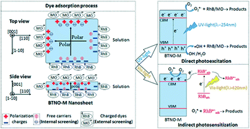 Graphical abstract: Superior adsorption capability and excellent photocatalytic activity derived from the ferroelectric external screening effect in Bi3TiNbO9 single-crystal nanosheets