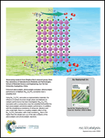 Graphical abstract: Back cover