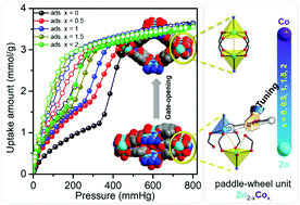 Graphical abstract: Cobalt substitution in a flexible metal–organic framework: modulating a soft paddle-wheel unit for tunable gate-opening adsorption