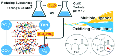 Graphical abstract: Emergence of complex chiral coordination clusters {CuII48Na12} by using multiple ligands under oxidizing conditions