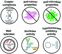 Graphical abstract: A new class of prophylactic metallo-antibiotic possessing potent anti-cancer and anti-microbial properties