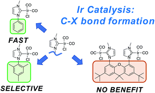 Graphical abstract: Simple and reactive Ir(i) N-heterocyclic carbene complexes for alkyne activation