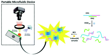Graphical abstract: A portable oligonucleotide-based microfluidic device for the detection of VEGF165 in a three-step suspended-droplet mode