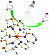 Graphical abstract: A ruthenium bisoxazoline complex as a photoredox catalyst for nitro compound reduction under visible light