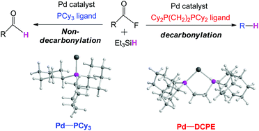 Graphical abstract: DFT studies on mechanistic origins of ligand-controlled selectivity in Pd-catalyzed non-decarbonylative and decarbonylative reductive conversion of acyl fluoride
