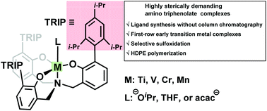 Graphical abstract: First-row early transition metal complexes with a highly sterically demanding triisopropylphenyl amino triphenolate ligand: synthesis and applications