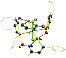 Graphical abstract: Macrocyclic complexes of Pt(ii) and Rh(iii) with iso-tellurazole N-oxides