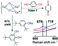 Graphical abstract: Dual oxidase/oxygenase reactivity and resonance Raman spectra of {Cu3O2} moiety with perfluoro-t-butoxide ligands