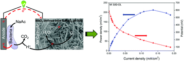 Graphical abstract: Effectiveness of phase- and morphology-controlled MnO2 nanomaterials derived from flower-like δ-MnO2 as alternative cathode catalyst in microbial fuel cells