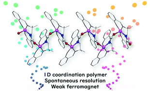 Graphical abstract: Weak ferromagnetism derived from spin canting in an amido-bridged homochiral Mn(iii) 1-D coordination polymer