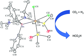 Graphical abstract: Rh(i) and Ru(ii) phosphaamidine and phosphaguanidine (1,3-P,N) complexes and their activity for CO2 hydrogenation