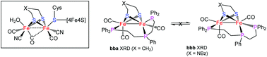 Graphical abstract: Models of the iron-only hydrogenase enzyme: structure, electrochemistry and catalytic activity of Fe2(CO)3(μ-dithiolate)(μ,κ1,κ2-triphos)