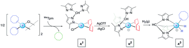 Graphical abstract: Synthesis and reactivity at the Ir-MeTpm platform: from κ1-N coordination to κ3-N-based organometallic chemistry