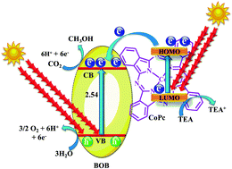 Graphical abstract: Synthesis and evaluation of CoPc grafted bismuth oxyhalide (Bi24O31Br10): a visible light-active photocatalyst for CO2 reduction into methanol