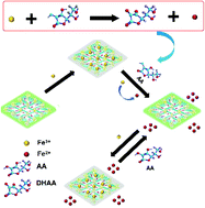 Graphical abstract: Sequential and recyclable sensing of Fe3+ and ascorbic acid in water with a terbium(iii)-based metal–organic framework