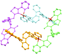 Graphical abstract: A ligand strand that displays anion-dependant reactivity with acetonitrile; formation of either a mononuclear complex or head-to-tail circular helicate