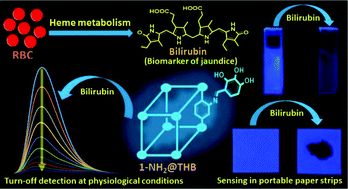 Graphical abstract: A recyclable post-synthetically modified Al(iii) based metal–organic framework for fast and selective fluorogenic recognition of bilirubin in human biofluids