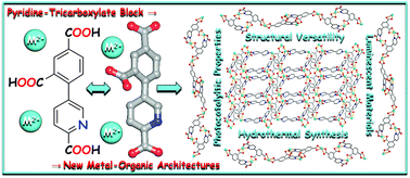 Graphical abstract: Hydrothermal generation, structural versatility and properties of metal(ii)-organic architectures driven by a pyridine-tricarboxylic acid