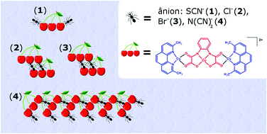 Graphical abstract: On the magneto-structural role of the coordinating anion in oxamato-bridged copper(ii) derivatives