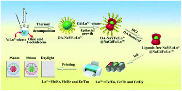 Graphical abstract: Design of novel lanthanide-doped core–shell nanocrystals with dual up-conversion and down-conversion luminescence for anti-counterfeiting printing