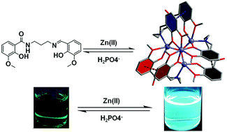 Graphical abstract: A cationic tetrahedral Zn(ii) cluster based on a new salicylamide imine multidentate ligand: synthesis, structure and fluorescence sensing study