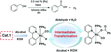 Graphical abstract: Bidentate Ru(ii)-NC complexes as catalysts for the dehydrogenative reaction from primary alcohols to carboxylic acids