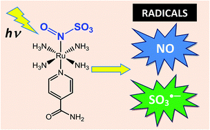 Graphical abstract: Light-activated generation of nitric oxide (NO) and sulfite anion radicals (SO3˙−) from a ruthenium(ii) nitrosylsulphito complex
