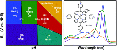 Graphical abstract: Electrocatalytic reduction of dioxygen by Mn(iii) meso-tetra(N-methylpyridinium-4-yl)porphyrin in universal buffer