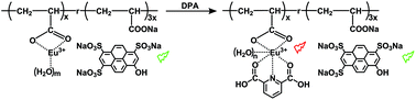 Graphical abstract: A highly selective lanthanide-containing probe for ratiometric luminescence detection of an anthrax biomarker