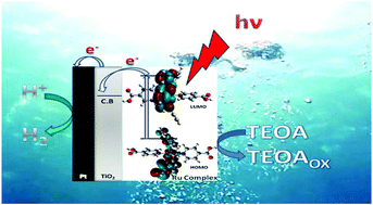 Graphical abstract: Ruthenium(iii)-bis(phenolato)bipyridine/TiO2 hybrids: unprecedented photocatalytic hydrogen evolution