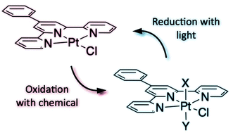 Graphical abstract: Photocytotoxic Pt(iv) complexes as prospective anticancer agents