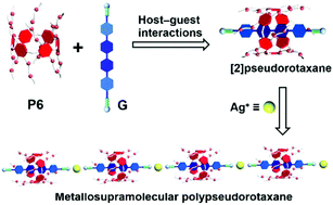 Graphical abstract: A [2]pseudorotaxane based on a pillar[6]arene and its application in the construction of a metallosupramolecular polymer
