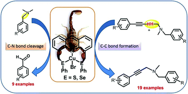 Graphical abstract: Oxidative C–C bond formation and C–N bond cleavage catalyzed by complexes of copper(i) with acridine based (E N E) pincers (E = S/Se), recyclable as a catalyst